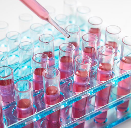 Especialização em  pré-polímeros híbridos,  silanos, catalisadores e peneiras moleculares